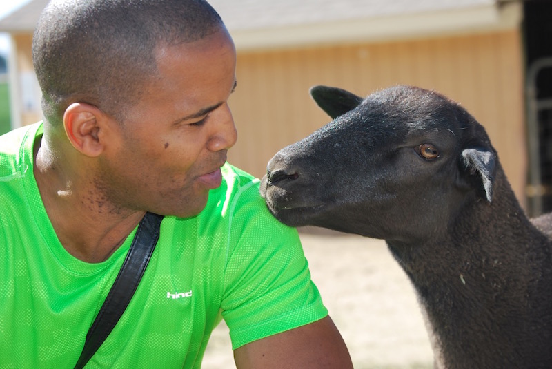 Aaron & Eddie the Sheep