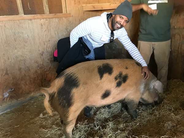 Aaron with pig